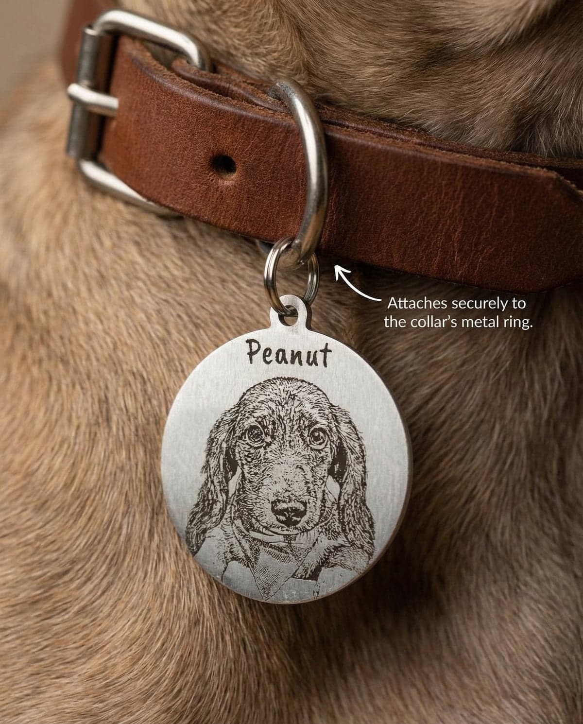 A round engraved collar tag with a spaniel portrait and the name "Peanut", clipped securely to a dog's brown leather collar.